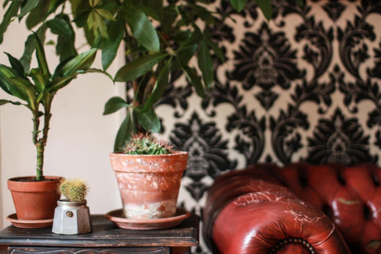 רומא Coliving Trastevere מראה חיצוני תמונה